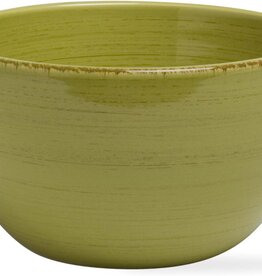 TAG Set of 2 Apple Green Sonoma Cereal Bowls