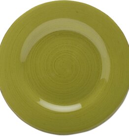 TAG Set of 4 Sonoma Apple Green Salad Plates