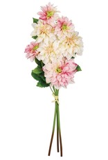 Sullivan Pink and Cream Dahlia Bouquet