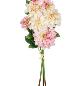 Sullivan Pink and Cream Dahlia Bouquet