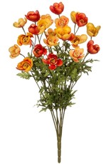 Sullivan Orange/Red Poppy Bush