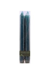 Northern Lights Eucalyptus - 2pk Tapers - 10in