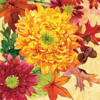 PPD Franklin Park Beverage Napkins
