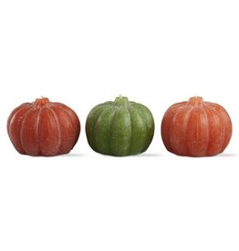 TAG Set of 3 Mini Harvest Pumpkins