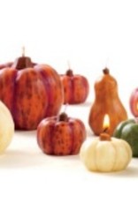TAG Rustic Harvest Pumpkin & Gourds Candle