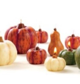 TAG Rustic Harvest Pumpkin & Gourds Candle