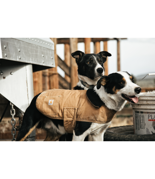 Carhartt Dog Chore Coat P0000340