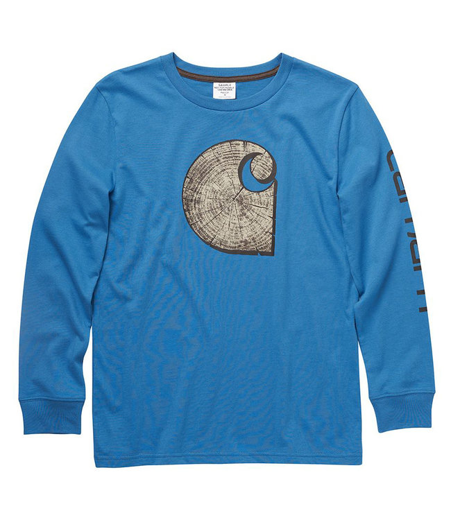Carhartt Boy's Knit Long Sleeve Crewneck Graphic T-Shirt CA6189