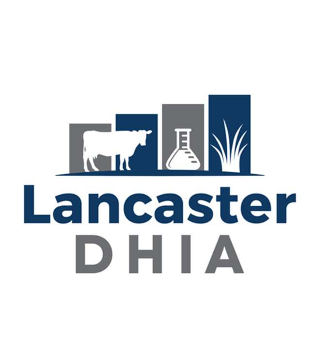 Lancaster DHIA Embroidery