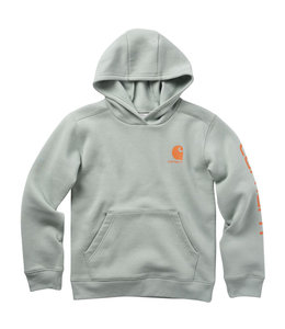Carhartt Boy's Long Sleeve Hooded Graphic Sweatshirt CA6267