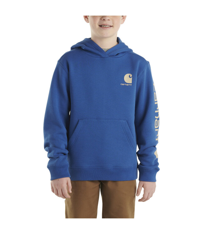 Carhartt Boy's Long-Sleeve Graphic Sweatshirt CA6469