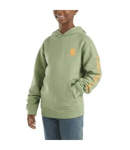 Carhartt Boy's Long-Sleeve Graphic Sweatshirt CA6549