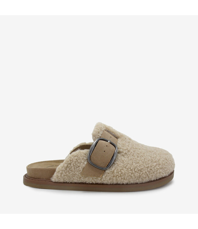Jellypop Women's Palmer Slipper J1810SJ