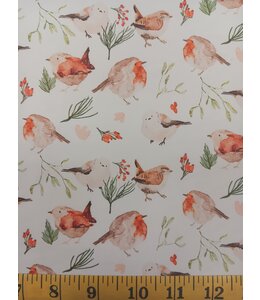 Yard of Winter Birds Eureka Jersey Knit Fabric
