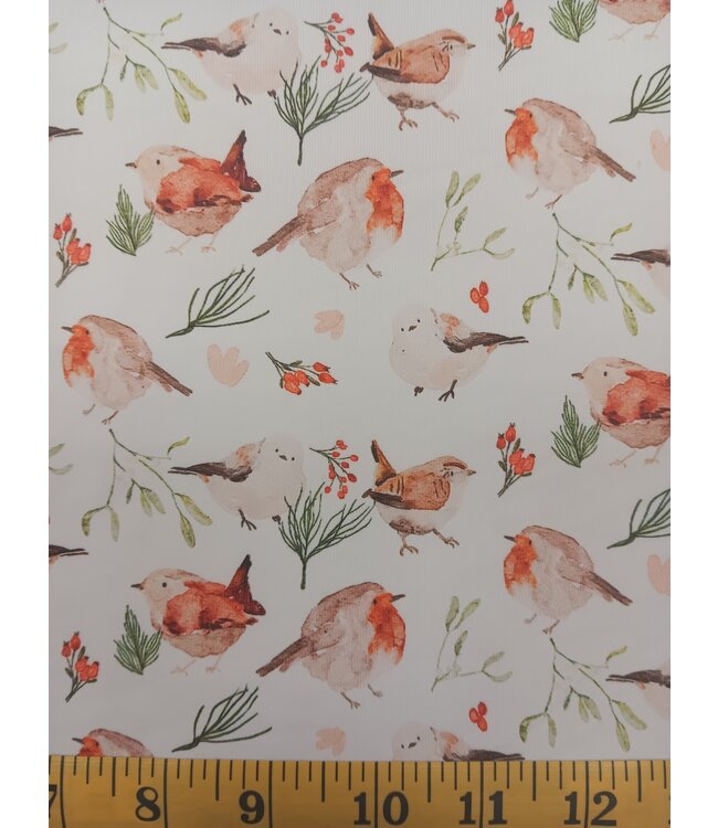 Yard of Winter Birds Eureka Jersey Knit Fabric