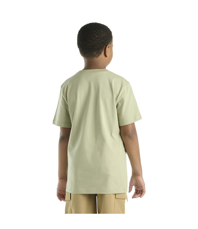 Carhartt Kid's Short-Sleeve Pocket T-Shirt CA6655