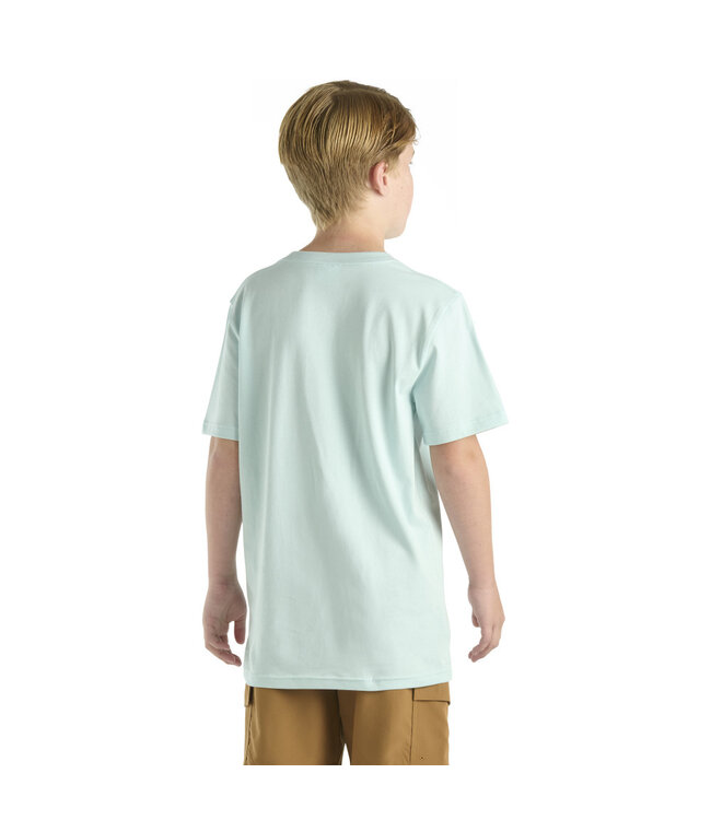 Carhartt Kid's Short-Sleeve Pocket T-Shirt CA6655
