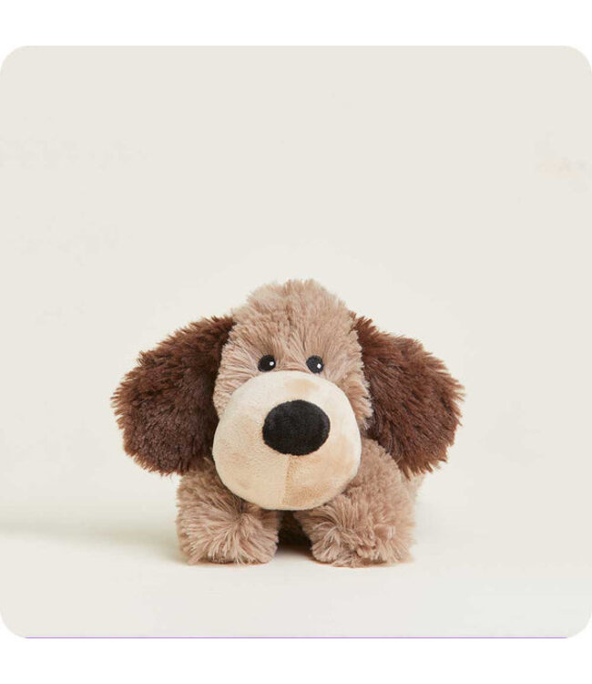 Warmies Brown Dog Junior
