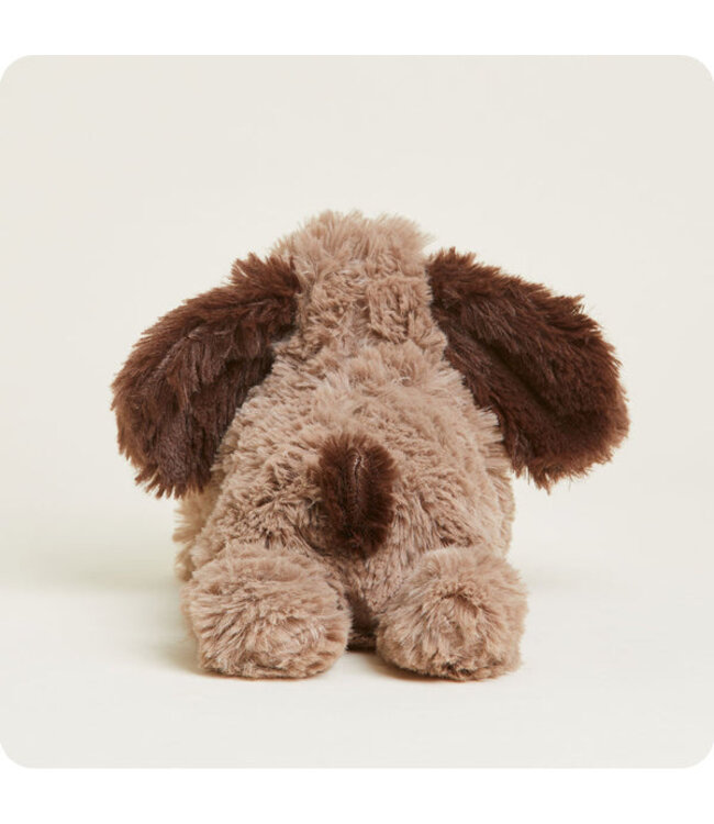 Warmies Brown Dog Junior