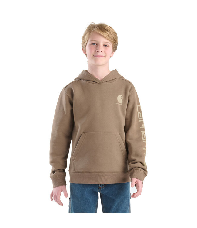 Carhartt Boy's Long-Sleeve Graphic Sweatshirt CA6772