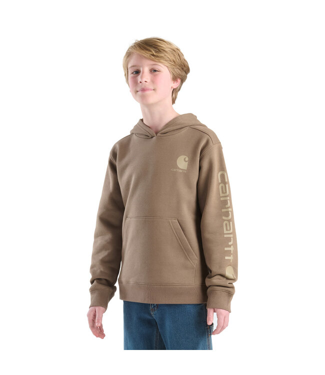 Carhartt Boy's Long-Sleeve Graphic Sweatshirt CA6772