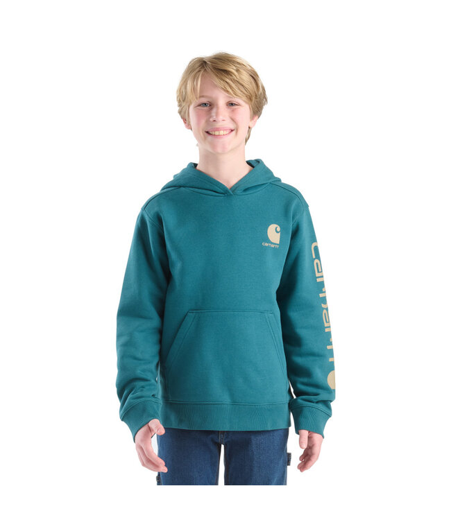 Carhartt Boy's Long-Sleeve Graphic Sweatshirt CA6772