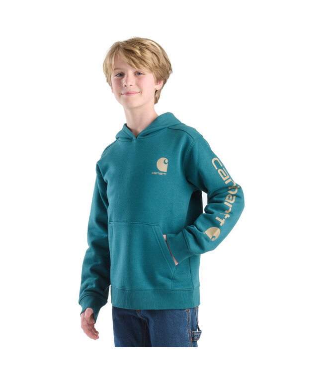 Carhartt Boy's Long-Sleeve Graphic Sweatshirt CA6772