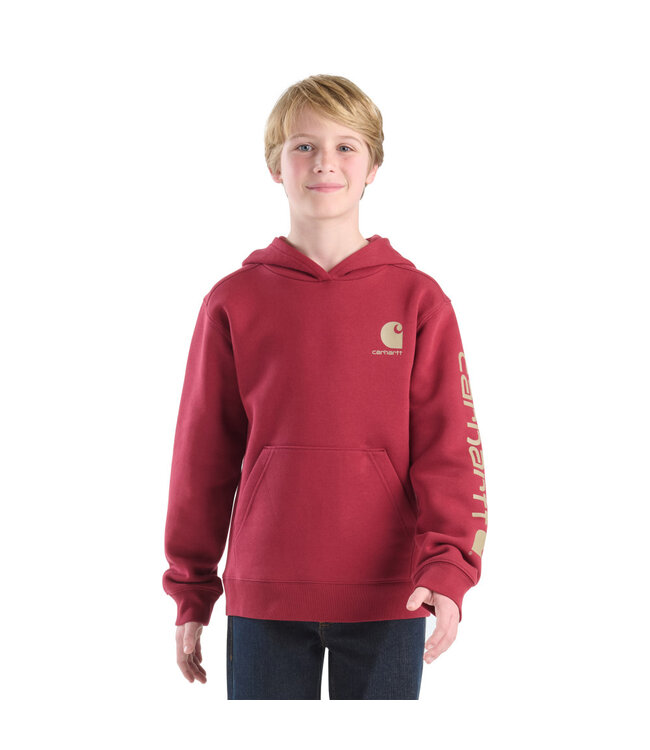 Carhartt Boy's Long-Sleeve Graphic Sweatshirt CA6772
