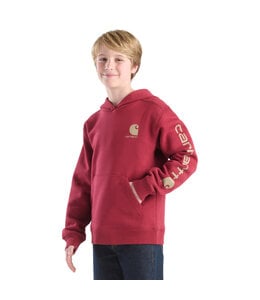 Carhartt Boy's Long-Sleeve Graphic Sweatshirt CA6772