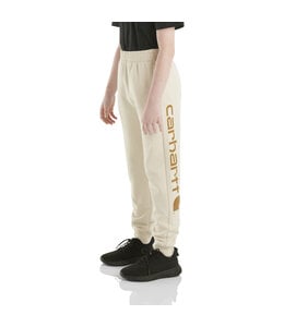 Carhartt Boy's Child Fleece Logo Sweatpant CK8430