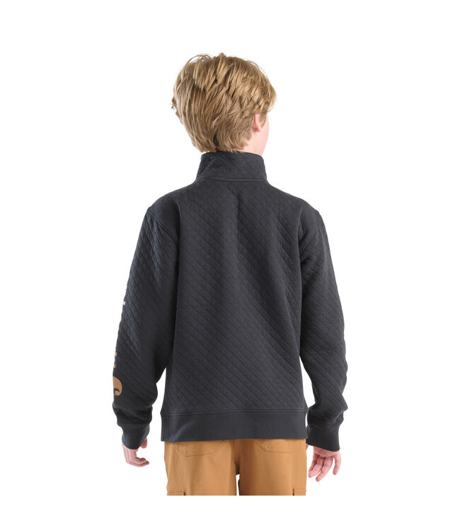 Carhartt Boy's Long-Sleeve Quarter Zip Sweatshirt CA6776
