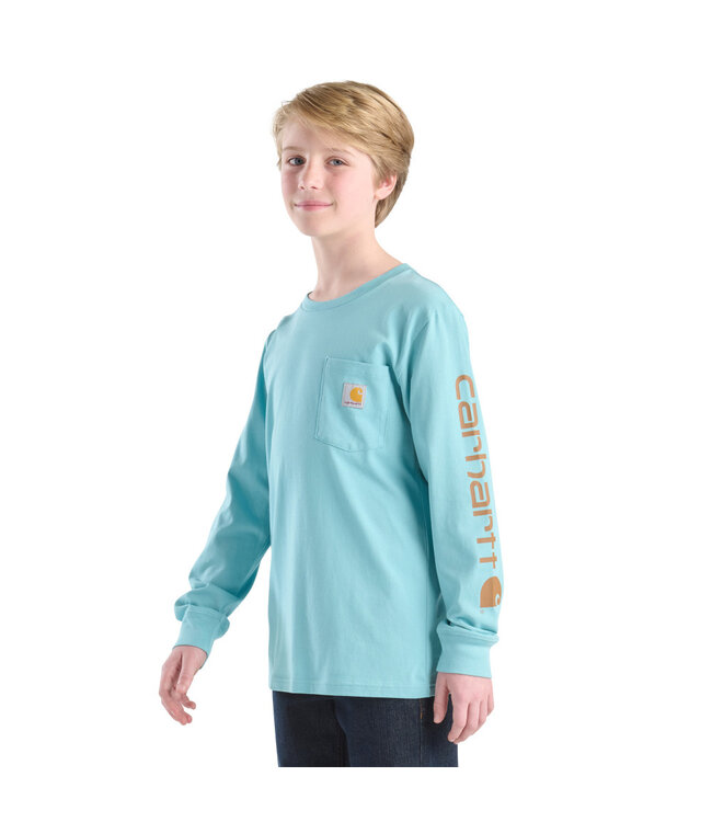 Carhartt Boy's Long-Sleeve Graphic Pocket T-Shirt CA6746