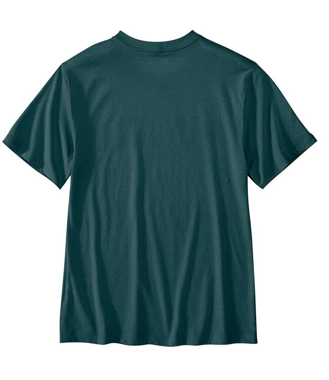 Carhartt Men's Relaxed Fit Lightweight Short-Sleeve Script Graphic T-Shirt 107049