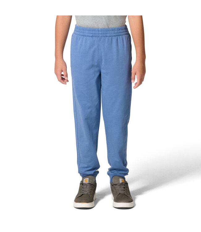 Carhartt Boy's Child Garment Dye Logo Sweatpant Ck8457
