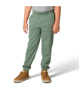 Carhartt Boy's Youth Garment Dye Logo Sweatpant CK8459