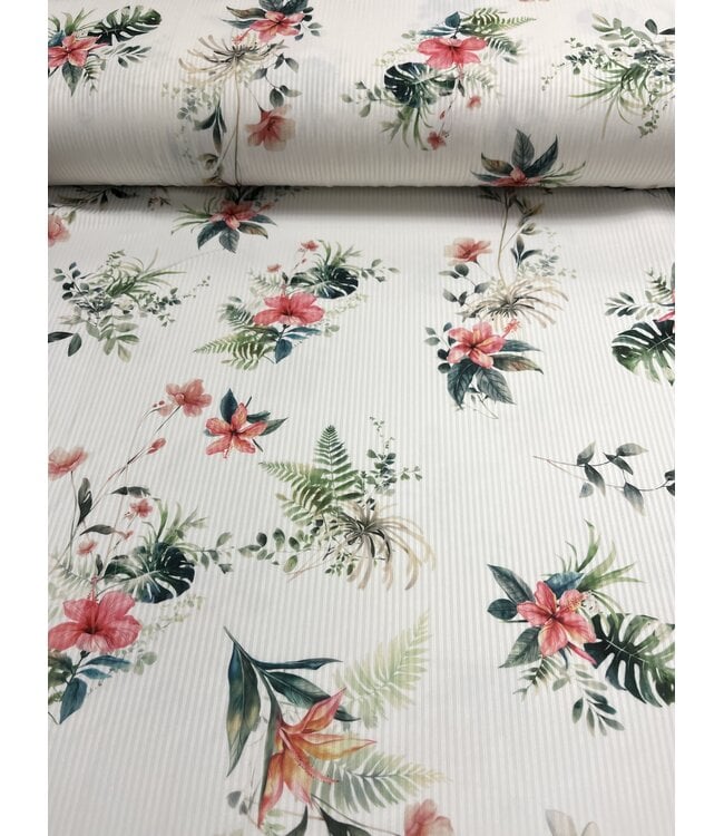 Colorwave Creations YD Tropical 1 Willow Rib Knit