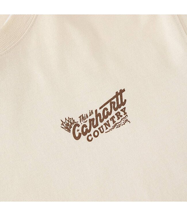 Carhartt Men's Irvine Relaxed Country T-Shirt 107291