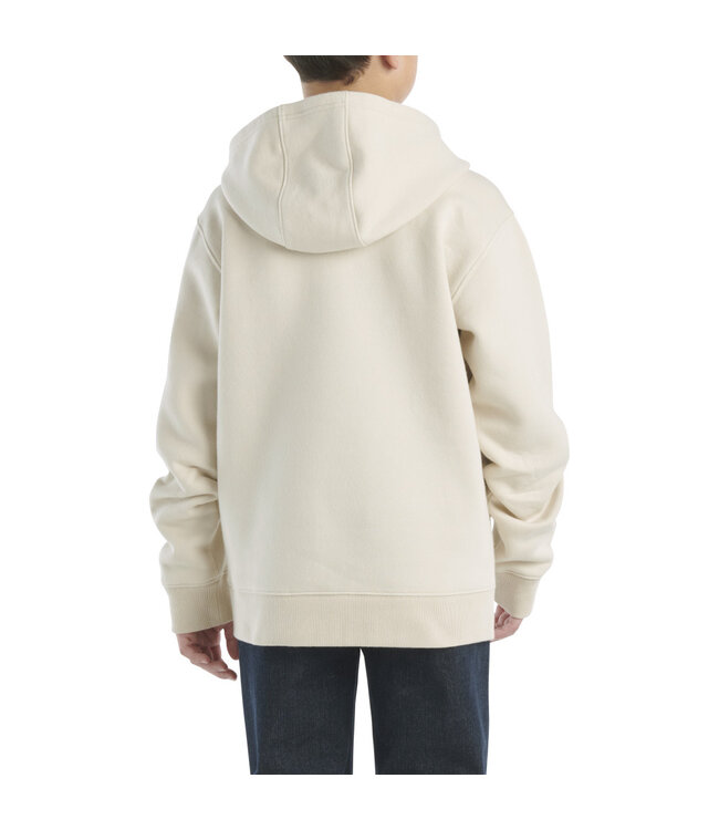 Carhartt Boy's Long-Sleeve Graphic Sweatshirt CA6272