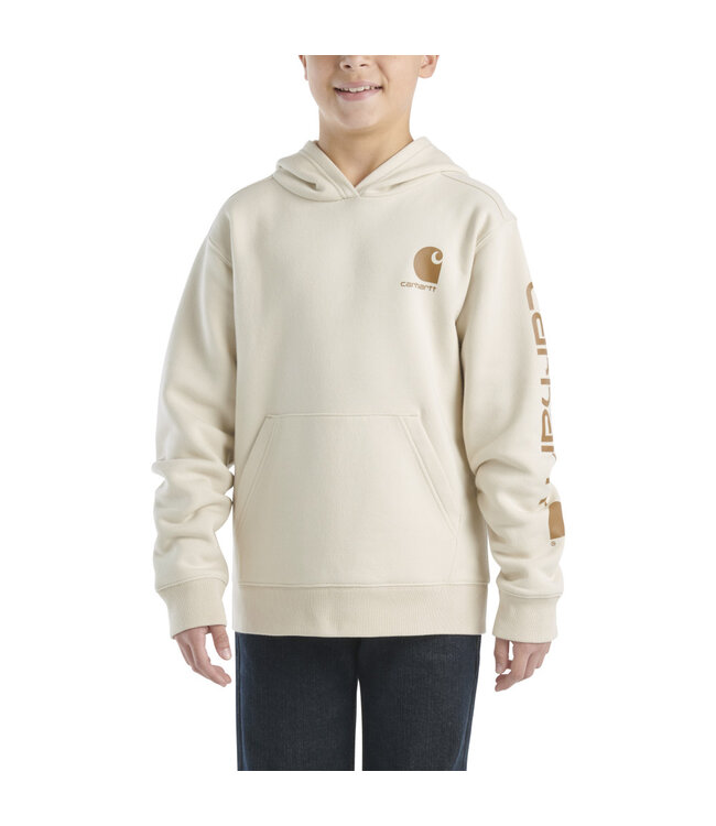 Carhartt Boy's Long-Sleeve Graphic Sweatshirt CA6272