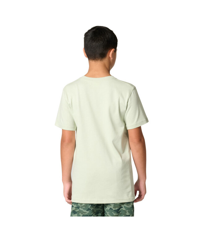 Carhartt Boy's Short-Sleeve Deer T-Shirt CA6801