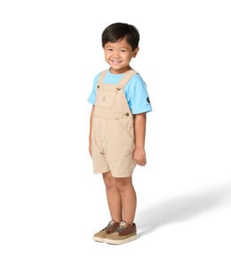 Carhartt Boy's Toddler Short-Sleeve T-Shirt and Brown Stripe Shortall Set CG8117