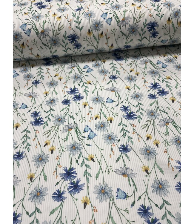 * Exclusive Design* YD Daisy Fields Narrow Rib Knit FT202601506