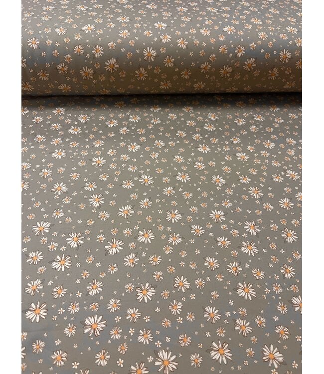 Anna Kate LLC YD Farm & Rose Daisies Green: Jersey Knit