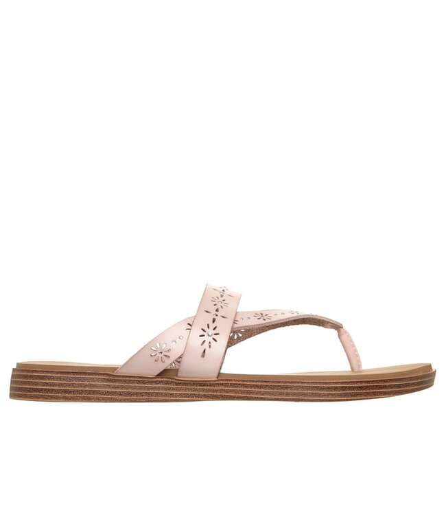 Skechers Women's Summer Cove-Spring Flowers Sandal 163632 BLSH
