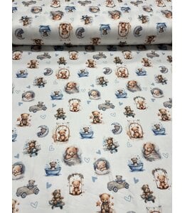 Colorwave Creations YD Teddy Joe DTY