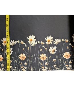 * Exclusive Design* YD FT202605176  Daisy Border Black Athletic Knit