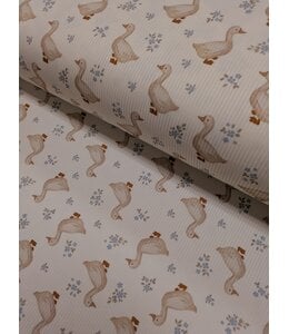 * Exclusive Design* YD FT202605260 Duck Duck Narrow Rib Knit