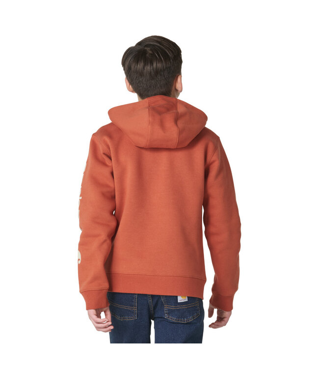 Carhartt Boy's Long-Sleeve Graphic Sweatshirt CA6908