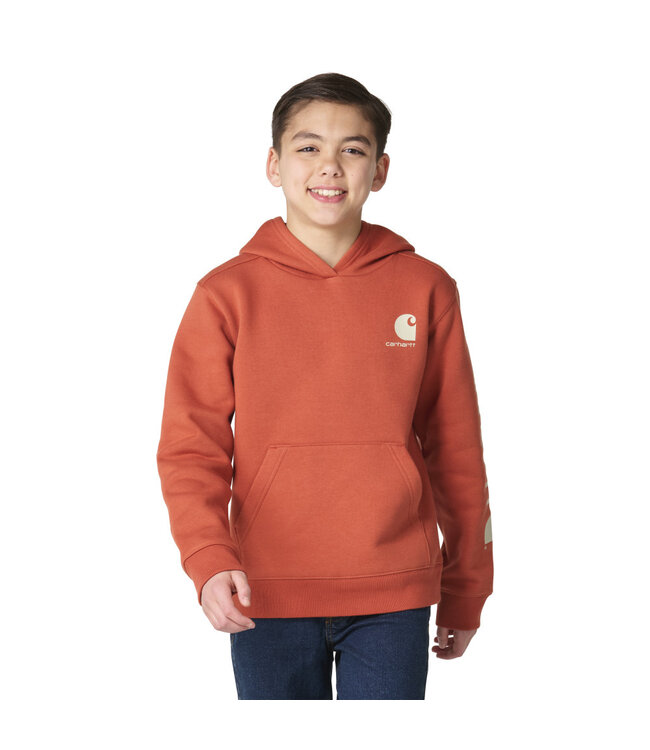 Carhartt Boy's Long-Sleeve Graphic Sweatshirt CA6908