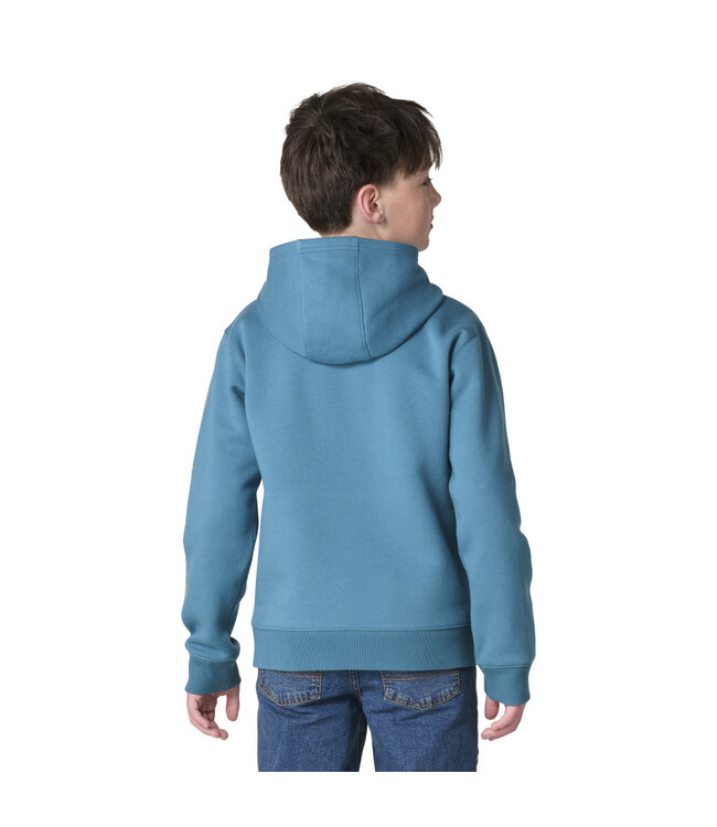 Carhartt Boy's Long-Sleeve Graphic Sweatshirt CA6908